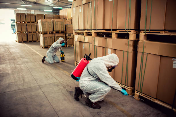 Best Wasp Removal Services  in Medina, TN