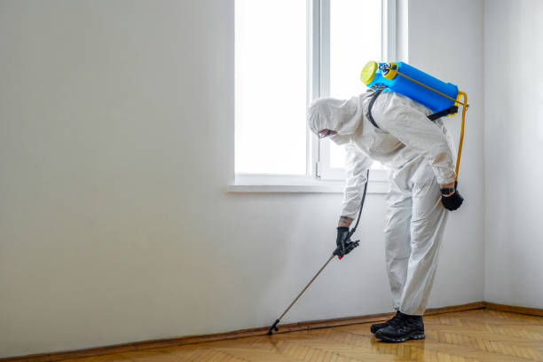 Best Commercial Pest Control Services  in Medina, TN