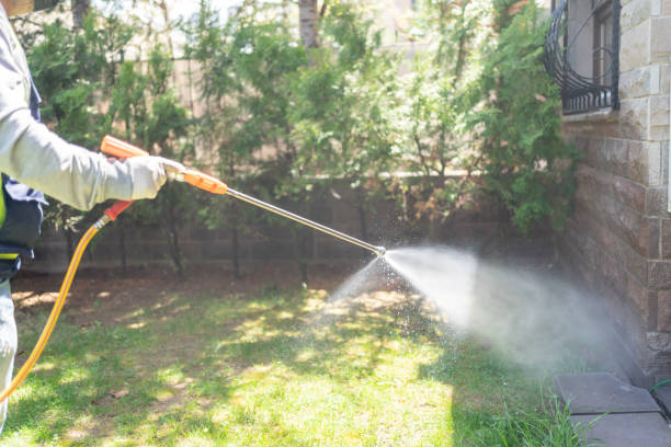 Best Wasp Removal Services  in Medina, TN