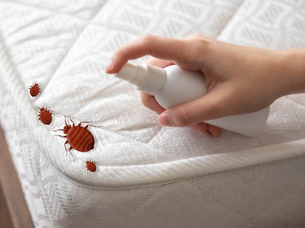 Pest Control for Restaurants in Medina, TN